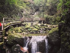 -牛背梁国家森林公园
