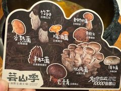 -芸山季·云南山珍菌火锅(南翔印象城MEGA店)