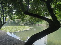 -荔枝公园(福田区)