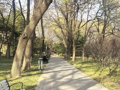 -玲珑塔公园