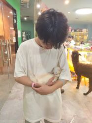 -神奇动物撸宠馆·羊驼·小浣熊·异宠(豫园店)