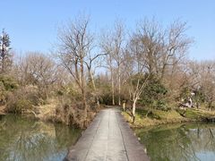 -西溪国家湿地公园