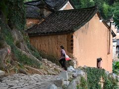 -杨家堂村