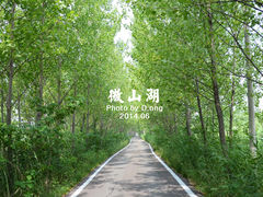 DSC_0898副本-微山湖红荷湿地景区