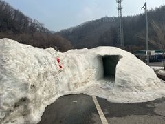 -天女山森林公园