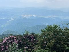 -瓦屋山景区