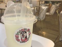 -Husky Go! 哈士奇体验馆·宠物咖啡厅狗咖