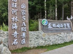 -汤旺河林海奇石景区