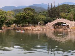 -杨梅坑