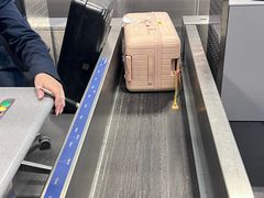 -米兰马尔彭萨国际机场