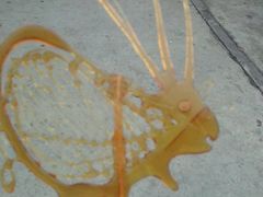 -南昌之星游乐场