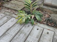 -南宁市越秀路小学