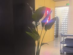 -杨氏青龙虾·羊蝎子(珠江路店)