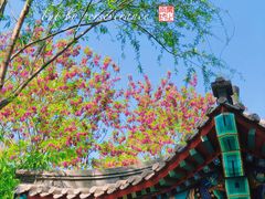 -北坞公园
