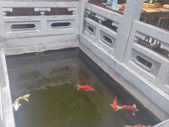 -鲤院·新中式美学·庭院餐厅(夫子庙店)
