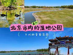 -南海子公园