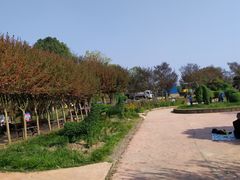 -武汉紫薇都市田园