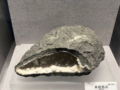 -贵州省地质博物馆