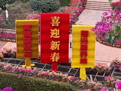 -攀枝花公园