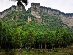 -重庆睡佛山森林公园