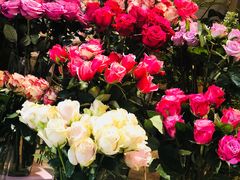 -卓花境Flowerwonderland花店