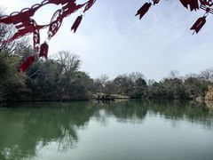 -西溪国家湿地公园