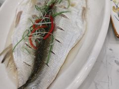 -蟹天蟹地农家菜·阳澄湖大闸蟹(浅水湾店)
