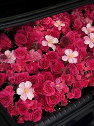 -花嫁丽舍婚礼殿堂(世博江景店)