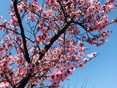 -白塘生态植物园
