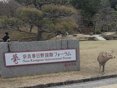 -奈良公园
