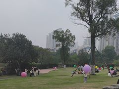 -桃花岭景区