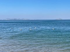 -银沙滩浴场