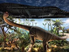 -陕西自然博物馆