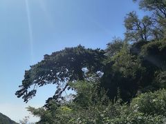 -泰山风景名胜区