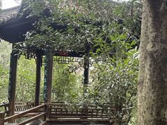 -潜山国家森林公园