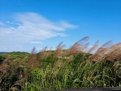 -舟山嵊泗列岛风景名胜区