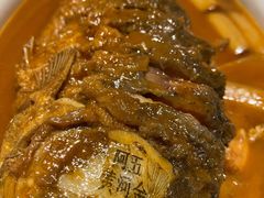 红烧黄河鲤鱼-阿五黄河大鲤鱼(纬三路店)