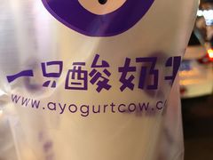 -一只酸奶牛(八一路店)