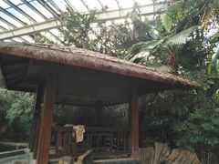 -龙达温泉生态城