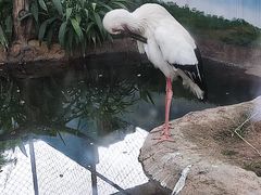 -成都动物园
