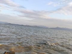 -深圳湾公园(南山区)