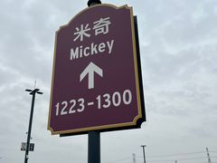 -迪士尼乐园停车场