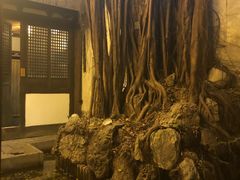 -文儒九号·闽菜馆(三坊七巷店)