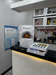 -YESIDO椰岛造型