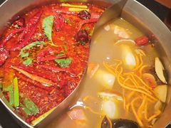 -滇牛云南火锅(桂林路店)