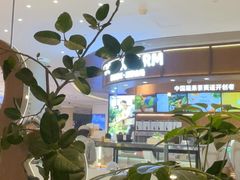 -gaga(深圳福田星河COCO Park店)