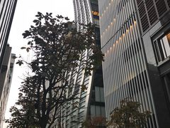 -优衣库(银座店)