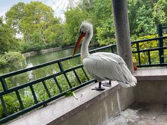 -上海野生动物园