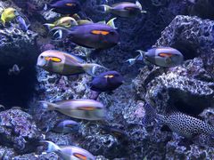 -成都浩海立方海洋公园