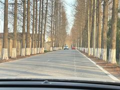 -上海长兴岛郊野公园
